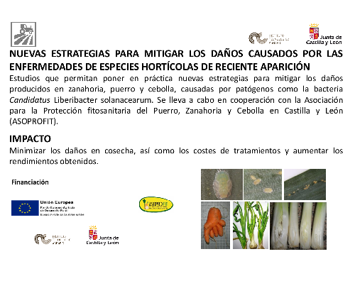 Nuevas estrategias para mitigar los daños causados por las enfermedades de especies hortícolas de reciente aparición